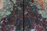 Jasper Replaced Petrified Wood Bookends - Oregon #89343-1
